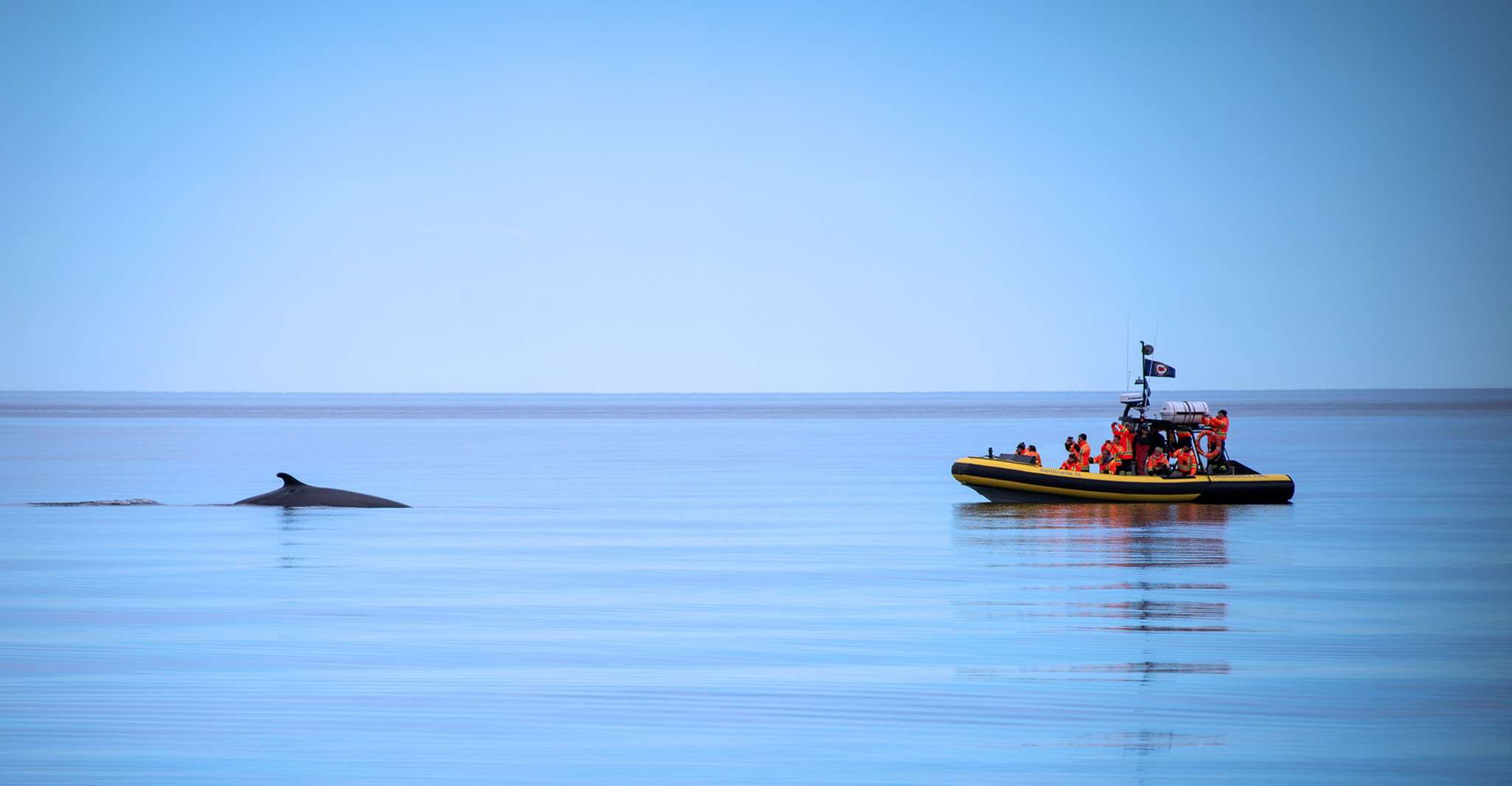 Tadoussac/Baie-Ste-Catherine, Whale Watch Zodiac Boat Tour, Tadoussac ...