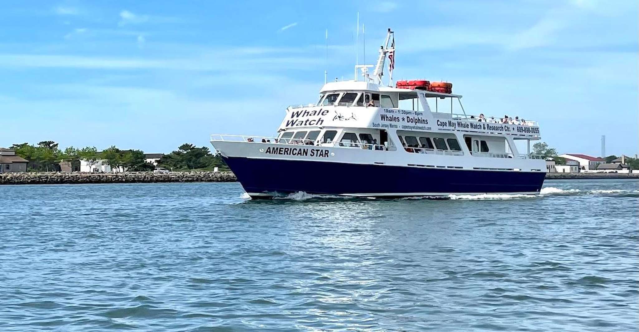 Cape May, Delfine und Vögel beobachten Kreuzfahrt - Hizvo
