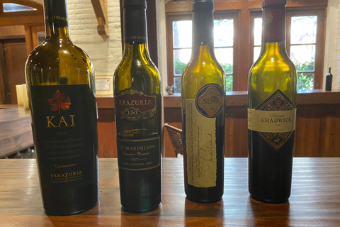 Esperienza di vino premium nella Valle di Aconcagua