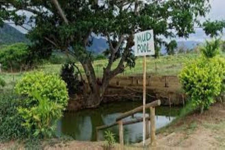 Lo mejor de Fiyi: Paquete de 3 Días