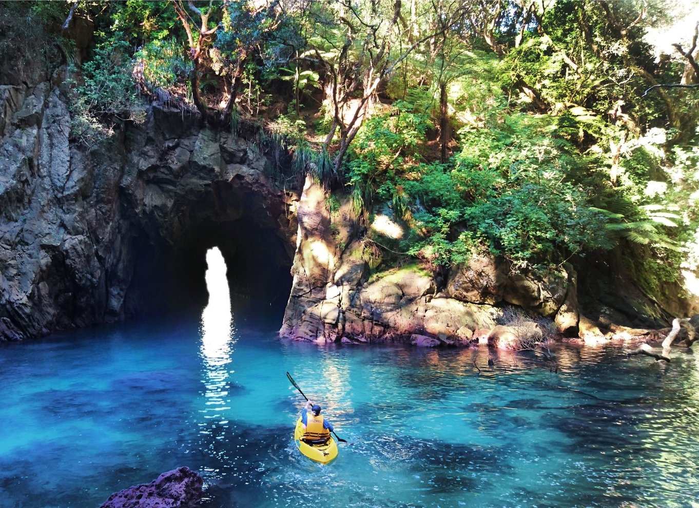 Whangamata: Guidet kajakoplevelse på Donut Island