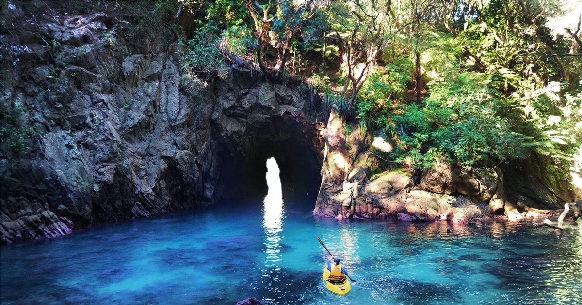 Whangamata Donut Island Guided Kayaking Experience GetYourGuide