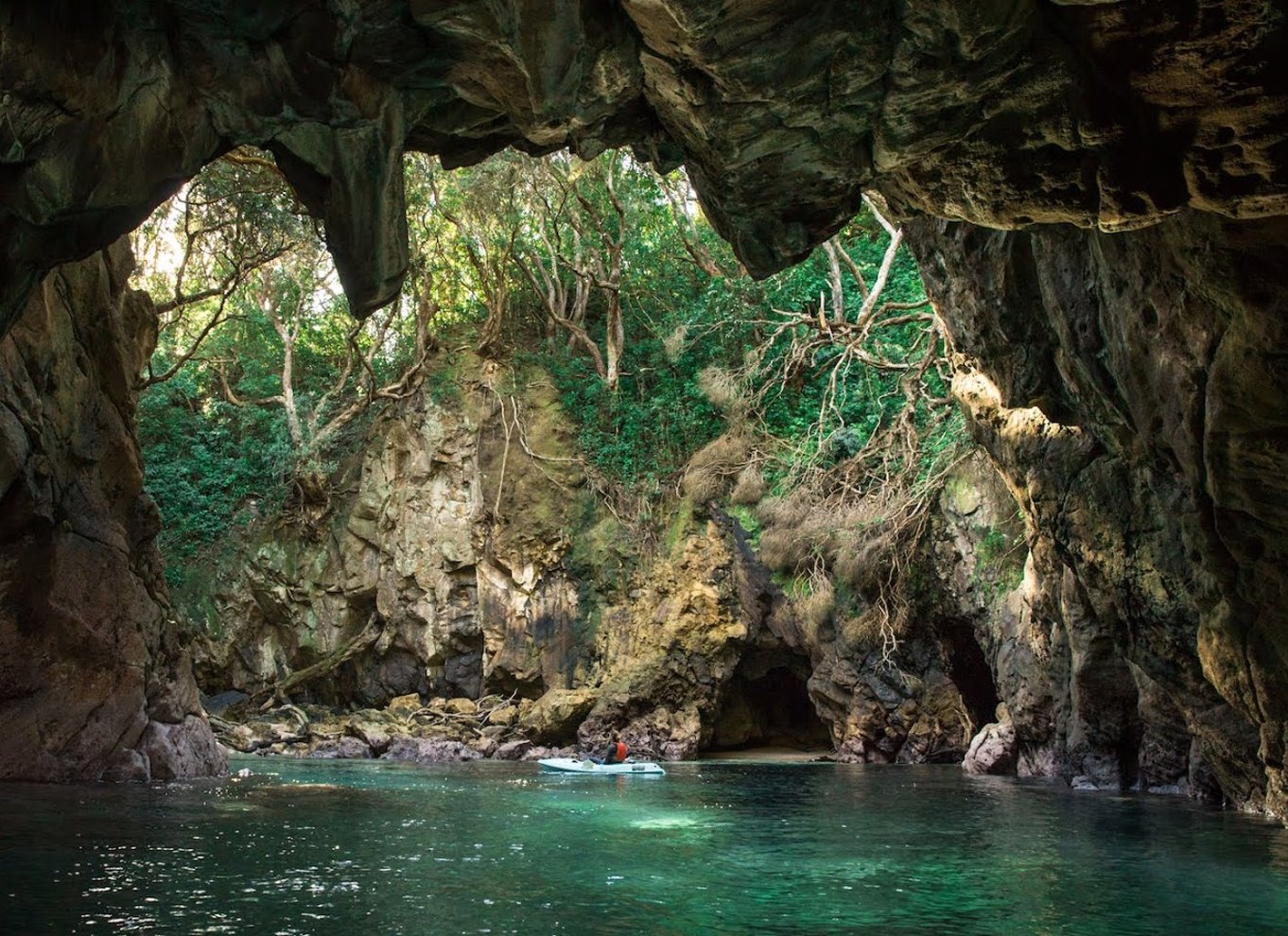 Whangamata: Guidet kajakoplevelse på Donut Island