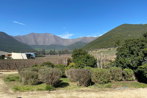 Expérience du vin de qualité supérieure dans la vallée de l&#039;Aconcagua