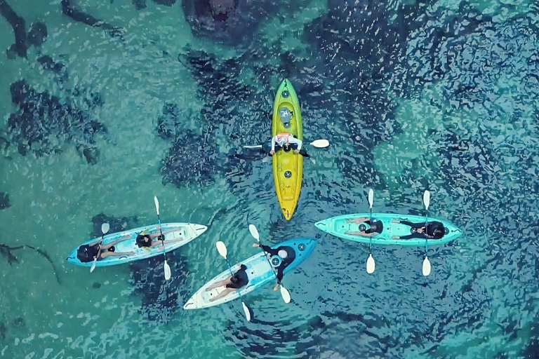 Whangamata Experiencia guiada en kayak por la Isla Donut