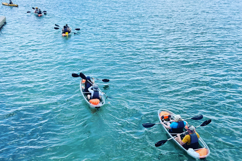 Clearwater: Guided Clear Kayaking Tour