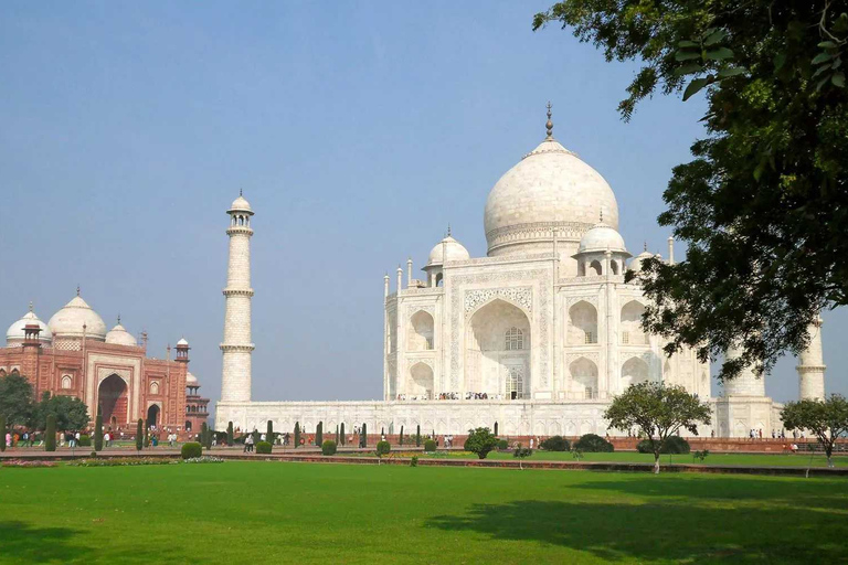 Visite du Taj Mahal en voiture depuis Delhi avec guide touristique