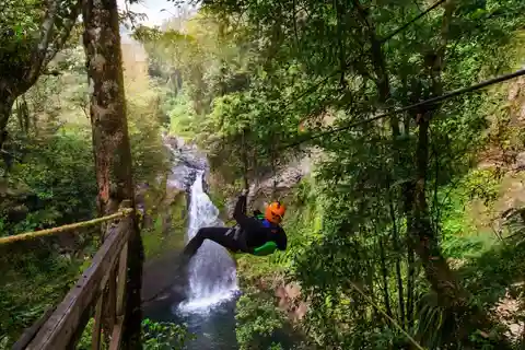 From Punta Cana: Zip Line Canopy Adventure Tour with Pickup