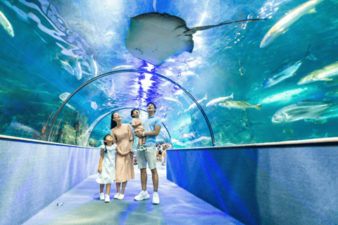 Ha Noi : VinKE et billet d&#039;entrée à l&#039;aquarium VinpearlVinKE Ticket Ticket pour le week-end