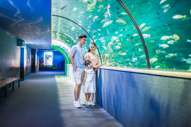 Ha Noi : VinKE et billet d&#039;entrée à l&#039;aquarium VinpearlVinKE Ticket Ticket pour le week-end