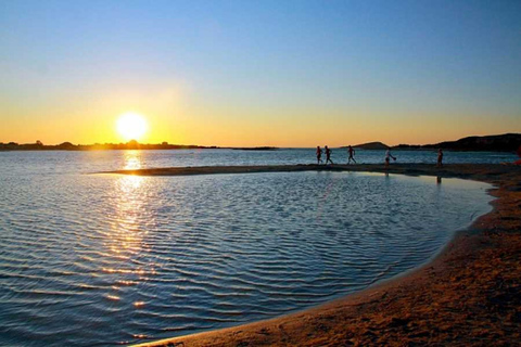 From Chania: Day Trip to Elafonisi Island Pink Sand BeachPickup in Daratso, Galatas, Ag Marina, Stalos, or Platanias