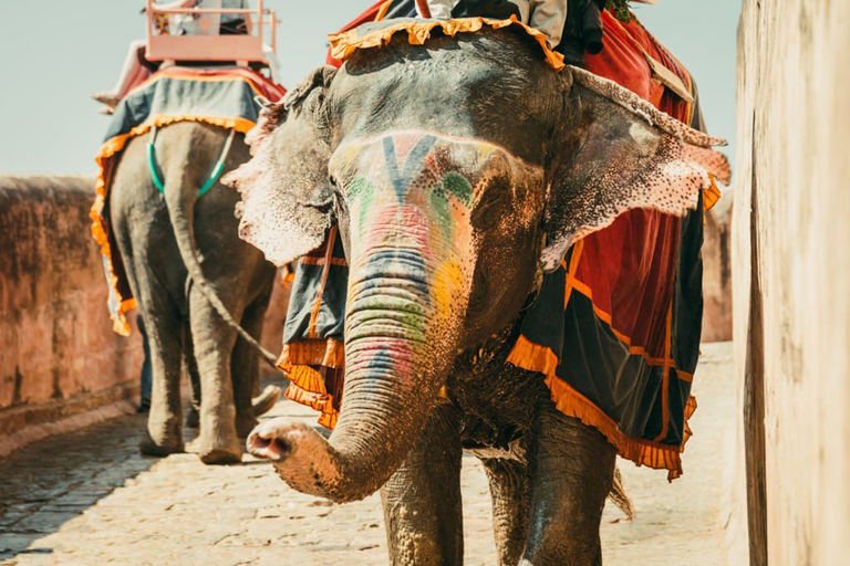 Jaipur privat dagsutflykt med monumentbiljetter från New Delhi