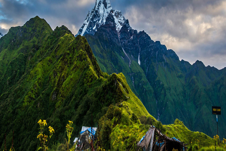 Mardi Himal Trekking