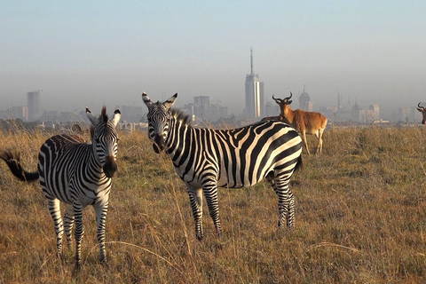 Dagtocht naar Nairobi Park, Elephant Project & Giraffe Centre