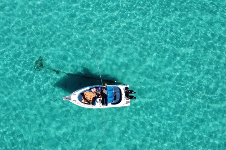 Bel Ombre : barco privado, nado con delfines con almuerzo