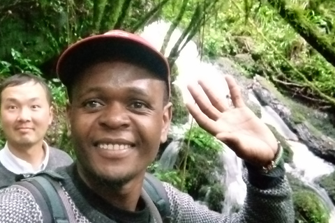 Escursione giornaliera sul Kilimangiaro attraverso il percorso MaranguEscursione giornaliera sul Kilimangiaro lungo il percorso Marangu