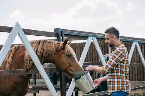 Passeggiata a cavallo nelle valli + pranzo