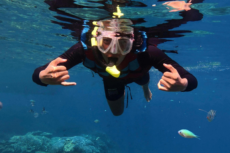 Da Nang: Cham Islands Fun Dive with Lunch and Transfers Fun Divers with Certified - two dive