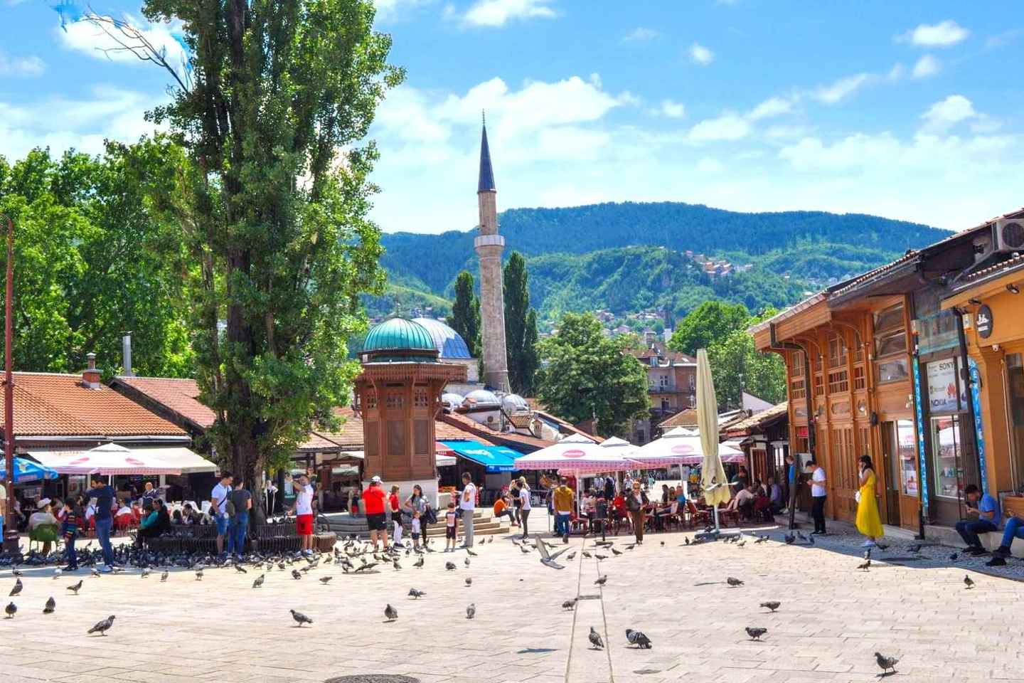 Experience the Soul of Sarajevo: A Walking Tour Through Time