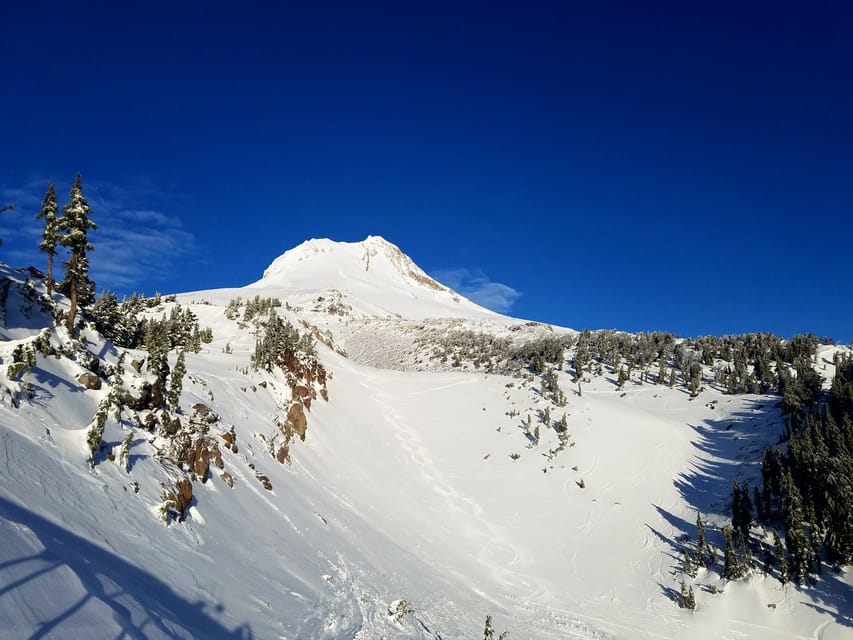 From Portland Full Day Gorge Waterfalls Mt Hood Tour GetYourGuide