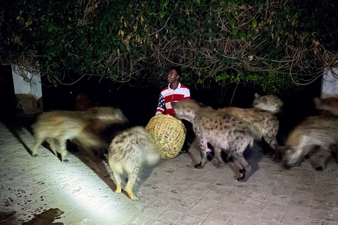 Harar: an ancient walled city, the fourth holiest in Islam Harar: an ancient walled city, one of the holiest in Islam