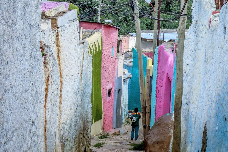 Harar: starożytne miasto otoczone murami, czwarte najświętsze w islamieHarar: starożytne miasto otoczone murami, jedno z najświętszych w islamie