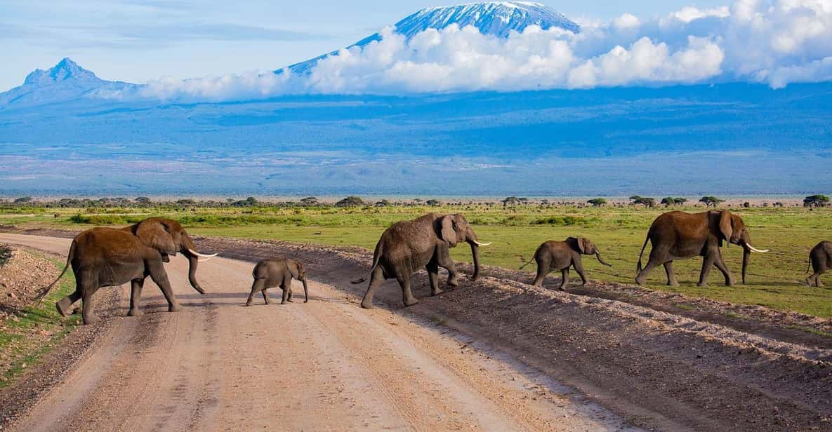 Day Tour To Amboseli National Park GetYourGuide