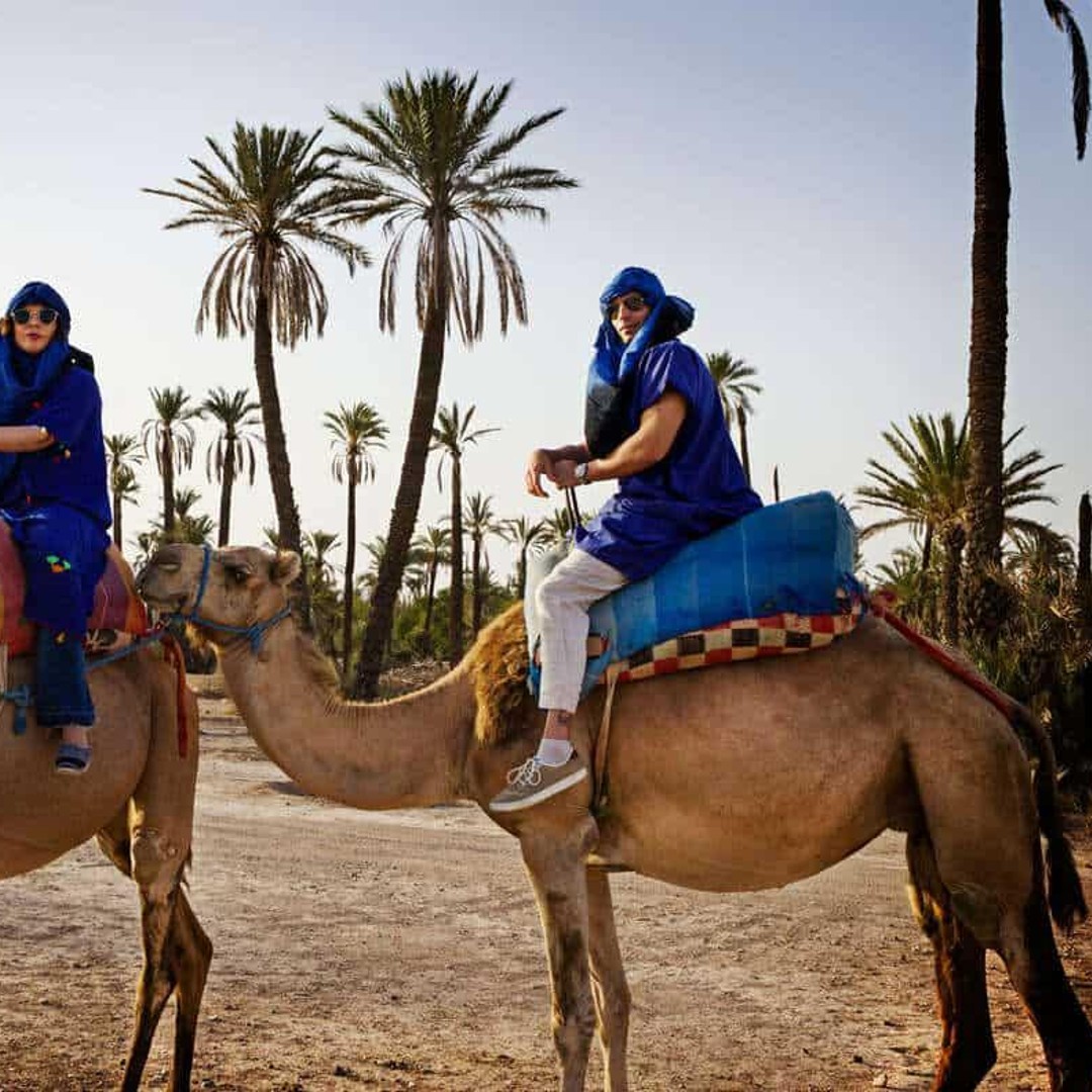 Marrakech : Promenade à dos de chameau dans la palmeraie