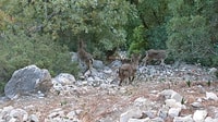 Caminito del Rey, Visite guidée avec 1 boisson et navette bus - Hizvo