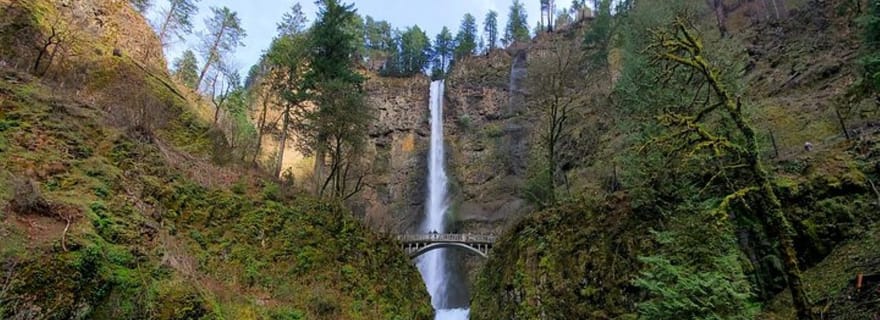 Au départ de Portland : Visite d'une demi-journée des chutes d'eau de la gorge du fleuve Columbia