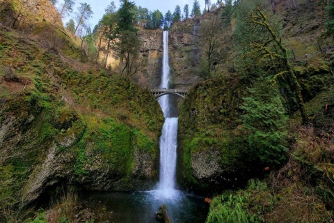 Au départ de Portland : Excursion d'une demi-journée dans les chutes d'eau de la gorge du fleuve Columbia