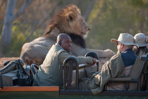 "La maestosità dello Zambesi: Un'avventura di 5 giorni, Cascate Vittoria e Chobe