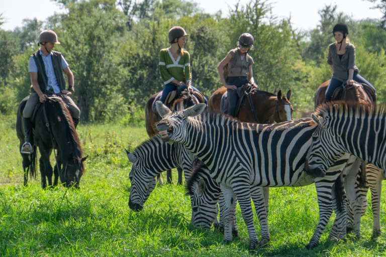 Victoria Falls und Chobe Safari 5 Tage Privaturlaub