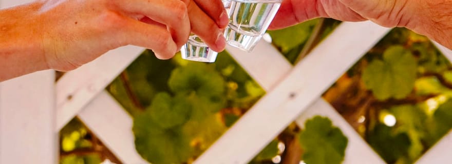 Dégustation de plats grecs