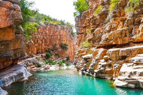 Excursion privée d'une demi-journée à Paradise Valley avec déjeuner