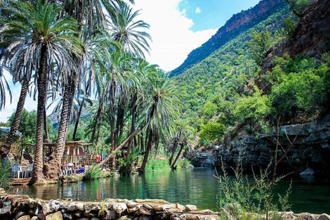 Excursion privée d'une demi-journée à Paradise Valley avec déjeuner