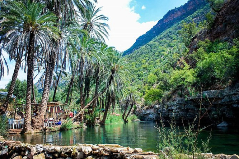 Agadir: Vale do Paraíso e dunas de areia do deserto com passeio de cameloParadise Valley e dunas de areia do deserto com passeio de camelo