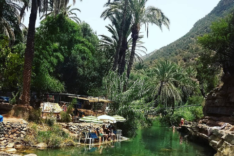 Agadir: Paradisdalen och sanddyner i öknen med kamelridningParadise Valley &amp; sanddyner i öknen med kamelritt