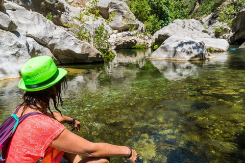 Excursion privée d'une demi-journée à Paradise Valley avec déjeuner