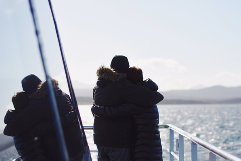 From Ushuaia: Beagle Channel Catamaran Tour