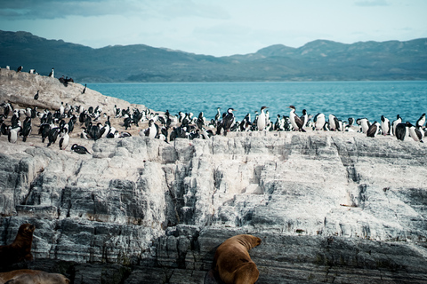 From Ushuaia: Beagle Channel Catamaran Tour