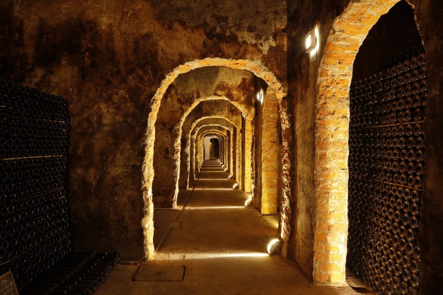 Visit Messias Cellars Tour and Tasting in Águeda
