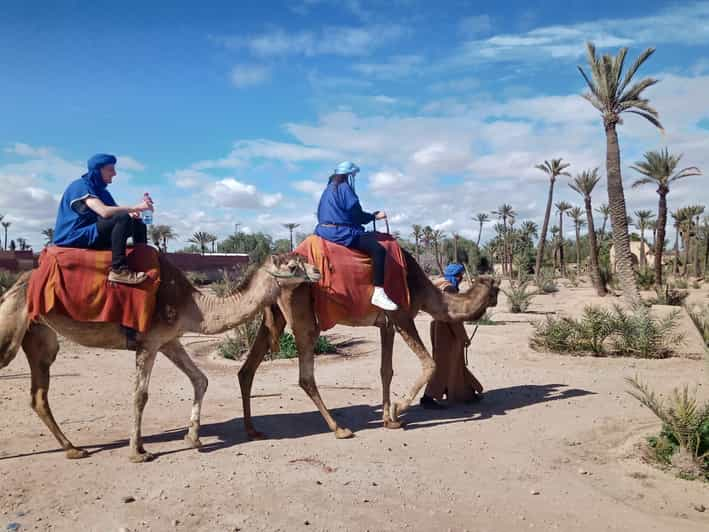 Marrakech Camel Ride In The Palm Grove Getyourguide