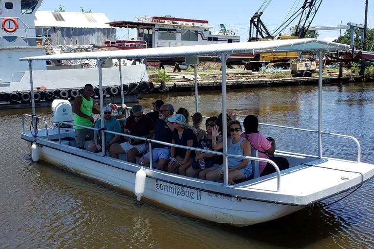 Boat Tour of Louisiana Bayous Near New Orleans