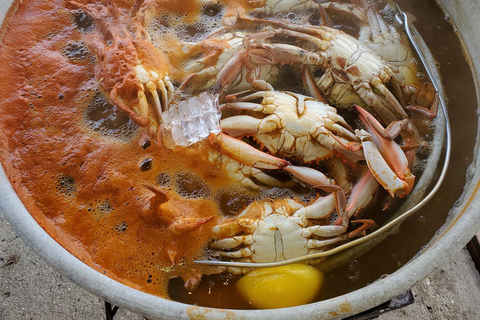 Boat Tour of Louisiana Bayous Near New Orleans