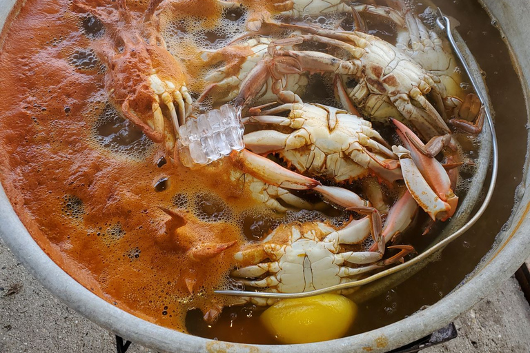 Boat Tour of Louisiana Bayous Near New Orleans