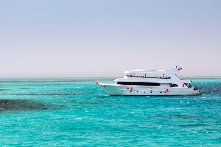 Bahía de Makadi: Tour en barco para avistar delfines con traslados privadosAvistamiento de delfines en lancha rápida y snorkel con traslado