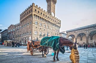 Florenz: Geführter Stadtrundgang & Accademia-Tour mit David