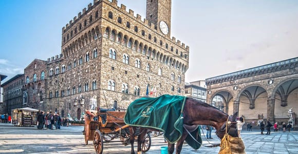 Florence: Guided City Walk & Accademia Tour with David