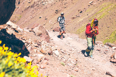 Frome Marrakech: Excursión de un día a la cumbre del Tedli en el Atlas